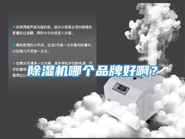 除濕機(jī)哪個(gè)品牌好??？