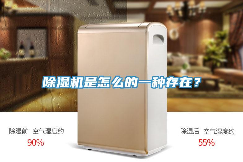 除濕機(jī)是怎么的一種存在？