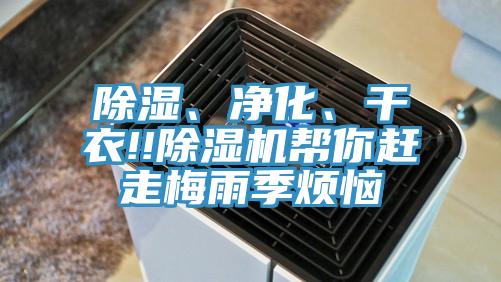 除濕、凈化、干衣!!除濕機(jī)幫你趕走梅雨季煩惱