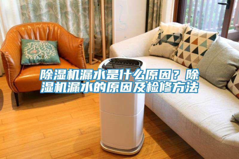 除濕機(jī)漏水是什么原因？除濕機(jī)漏水的原因及檢修方法