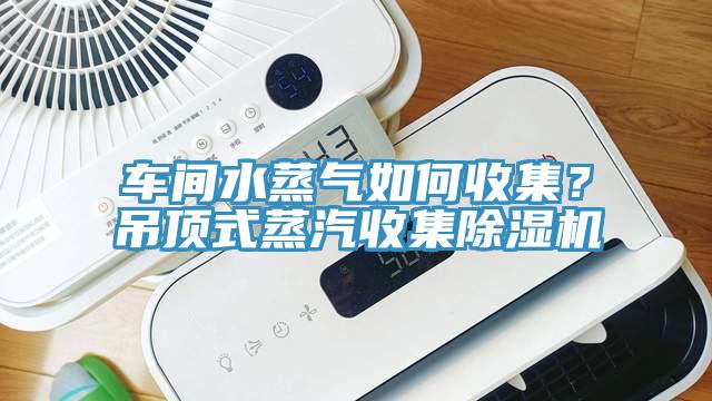 車間水蒸氣如何收集？吊頂式蒸汽收集除濕機(jī)