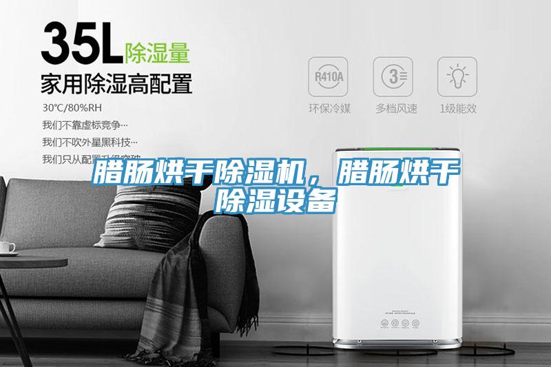 臘腸烘干除濕機，臘腸烘干除濕設備