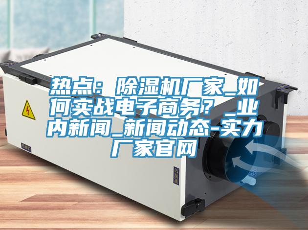 熱點：除濕機廠家_如何實戰(zhàn)電子商務？_業(yè)內(nèi)新聞_新聞動態(tài)-實力廠家官網(wǎng)