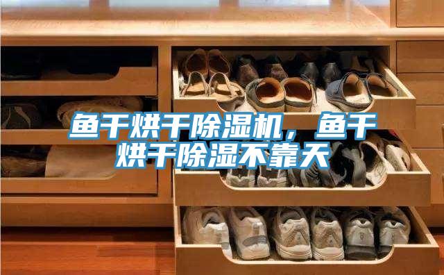 魚干烘干除濕機(jī)，魚干烘干除濕不靠天