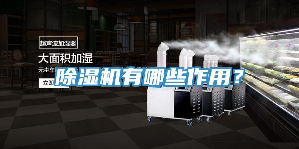 除濕機(jī)有哪些作用？