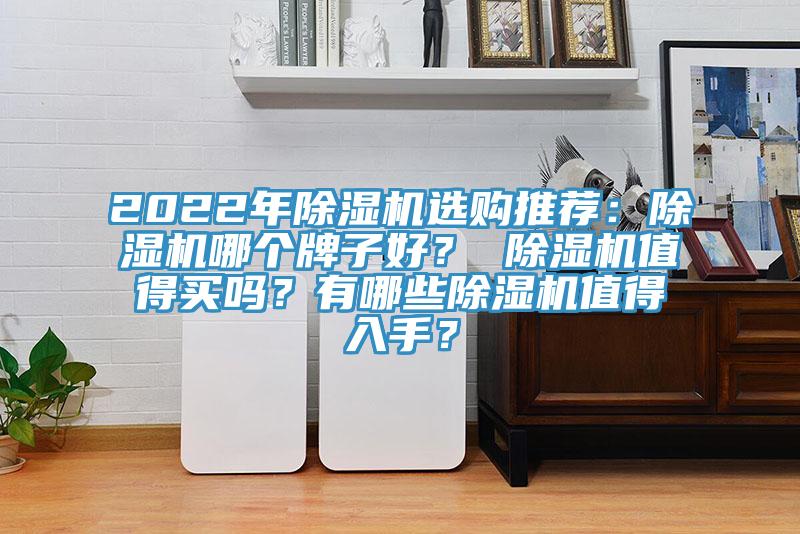 2022年除濕機(jī)選購(gòu)?fù)扑]：除濕機(jī)哪個(gè)牌子好？ 除濕機(jī)值得買(mǎi)嗎？有哪些除濕機(jī)值得入手？