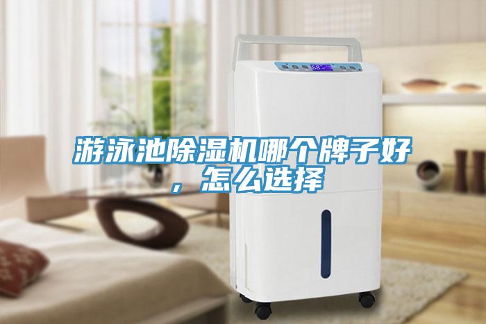 游泳池除濕機哪個牌子好，怎么選擇