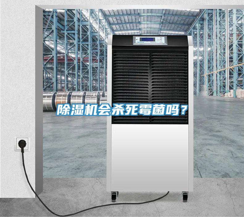 除濕機會殺死霉菌嗎？