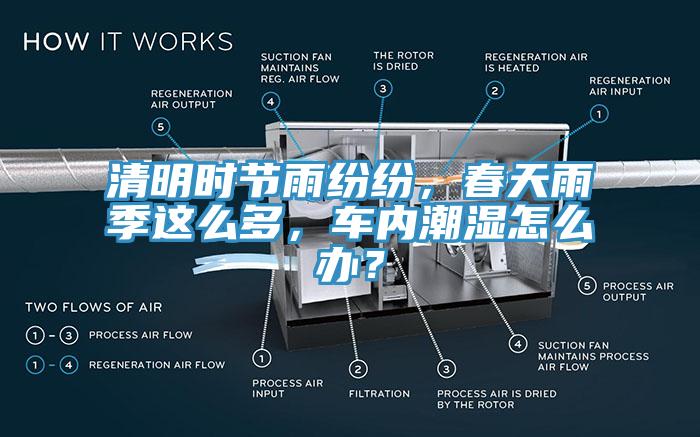 清明時(shí)節(jié)雨紛紛，春天雨季這么多，車內(nèi)潮濕怎么辦？