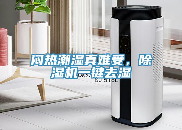 悶熱潮濕真難受，除濕機(jī)一鍵去濕