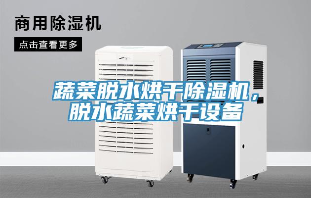 蔬菜脫水烘干除濕機(jī)，脫水蔬菜烘干設(shè)備