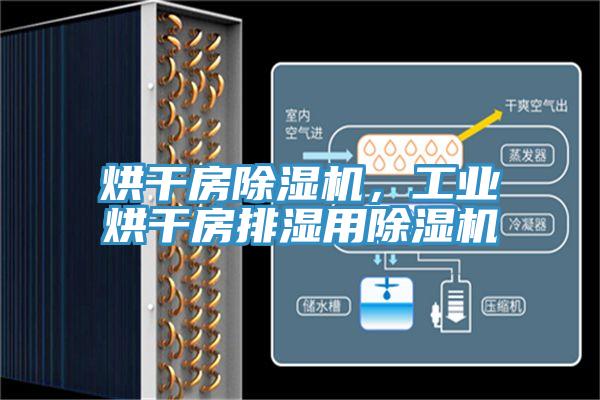 烘干房除濕機，工業(yè)烘干房排濕用除濕機