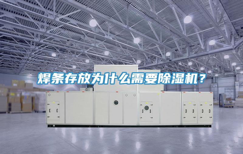 焊條存放為什么需要除濕機？
