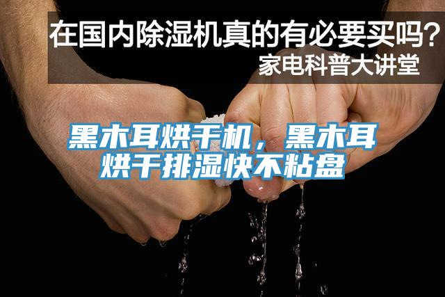 黑木耳烘干機，黑木耳烘干排濕快不粘盤