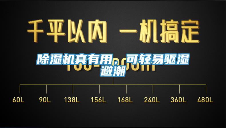 除濕機真有用，可輕易驅濕避潮