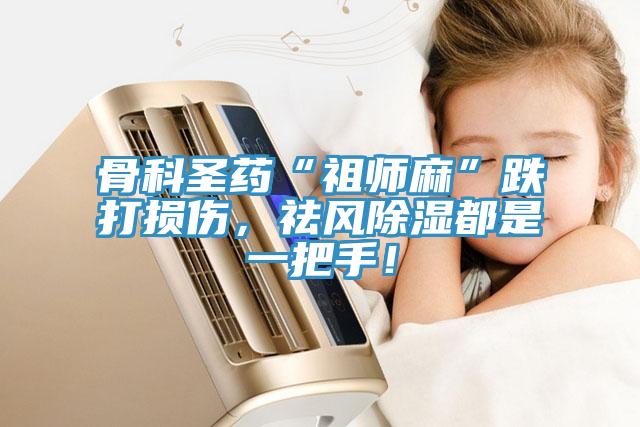 骨科圣藥“祖師麻”跌打損傷，祛風(fēng)除濕都是一把手！