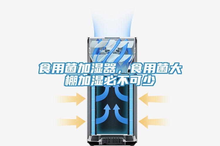食用菌加濕器，食用菌大棚加濕必不可少