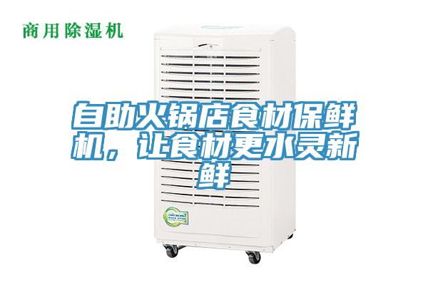 自助火鍋店食材保鮮機(jī)，讓食材更水靈新鮮