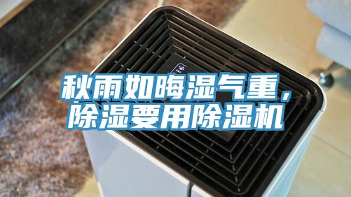 秋雨如晦濕氣重，除濕要用除濕機
