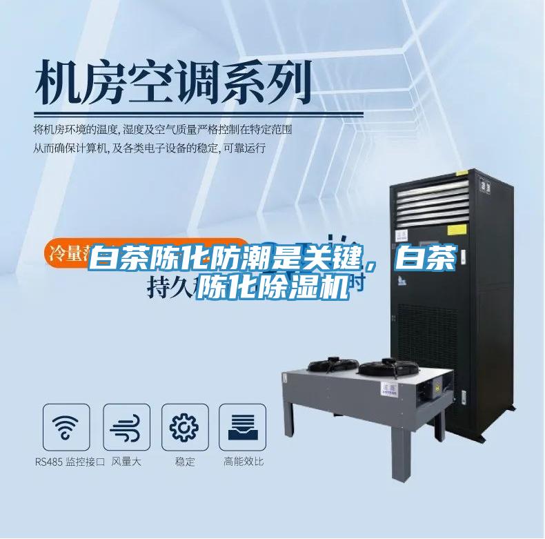 白茶陳化防潮是關(guān)鍵，白茶陳化除濕機