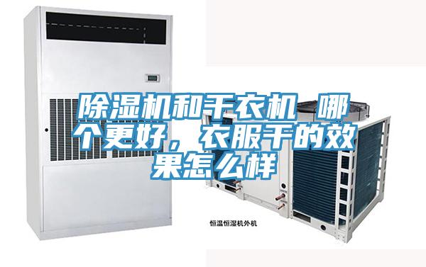 除濕機(jī)和干衣機(jī) 哪個(gè)更好，衣服干的效果怎么樣
