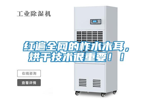 紅遍全網的柞水木耳，烘干技術很重要??！