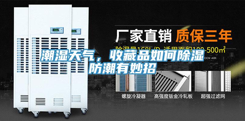 潮濕天氣，收藏品如何除濕防潮有妙招