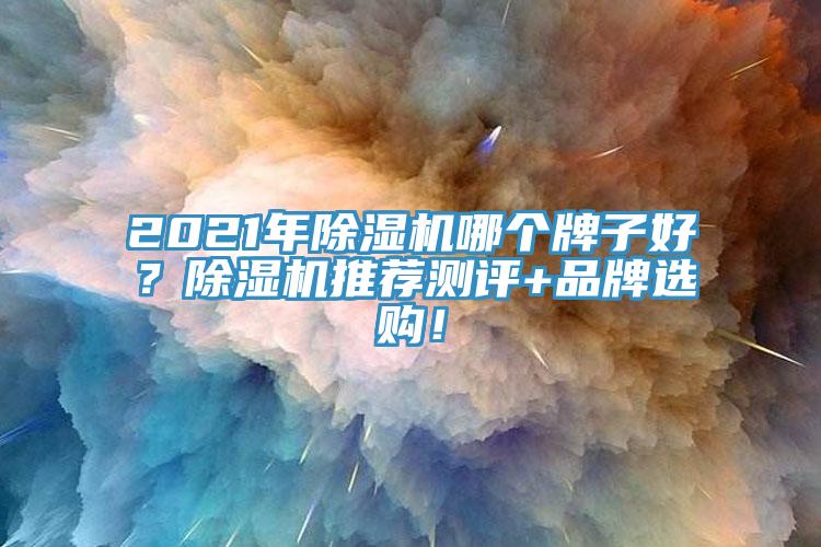 2021年除濕機(jī)哪個(gè)牌子好？除濕機(jī)推薦測(cè)評(píng)+品牌選購(gòu)！