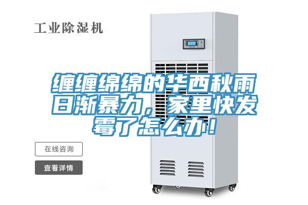 纏纏綿綿的華西秋雨日漸暴力，家里快發(fā)霉了怎么辦！