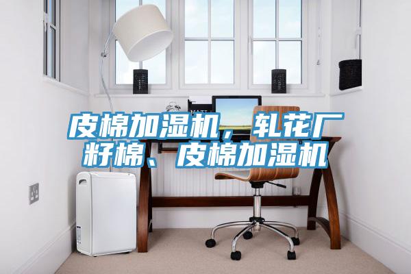 皮棉加濕機(jī)，軋花廠籽棉、皮棉加濕機(jī)