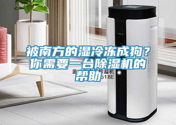 被南方的濕冷凍成狗？你需要一臺除濕機(jī)的幫助