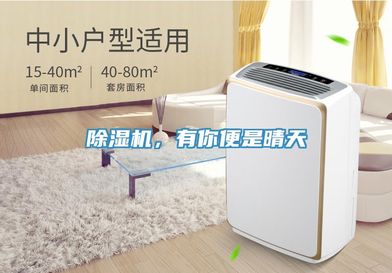 除濕機，有你便是晴天