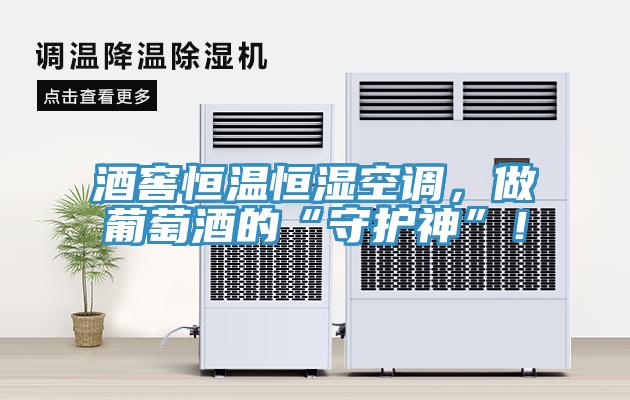 酒窖恒溫恒濕空調(diào)，做葡萄酒的“守護(hù)神”！