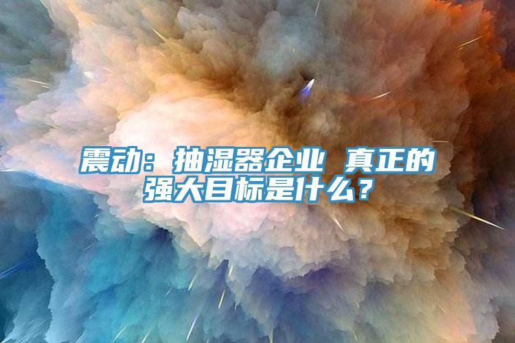 震動(dòng)：抽濕器企業(yè) 真正的強(qiáng)大目標(biāo)是什么？