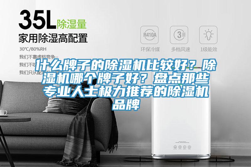 什么牌子的除濕機比較好？除濕機哪個牌子好？盤點那些專業(yè)人士極力推薦的除濕機品牌