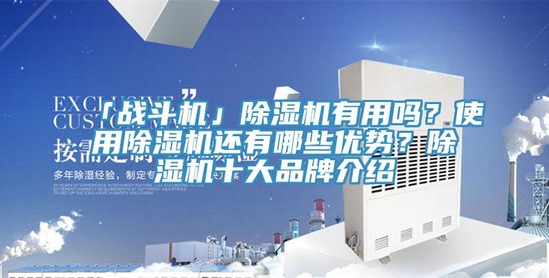 「戰(zhàn)斗機(jī)」除濕機(jī)有用嗎？使用除濕機(jī)還有哪些優(yōu)勢(shì)？除濕機(jī)十大品牌介紹
