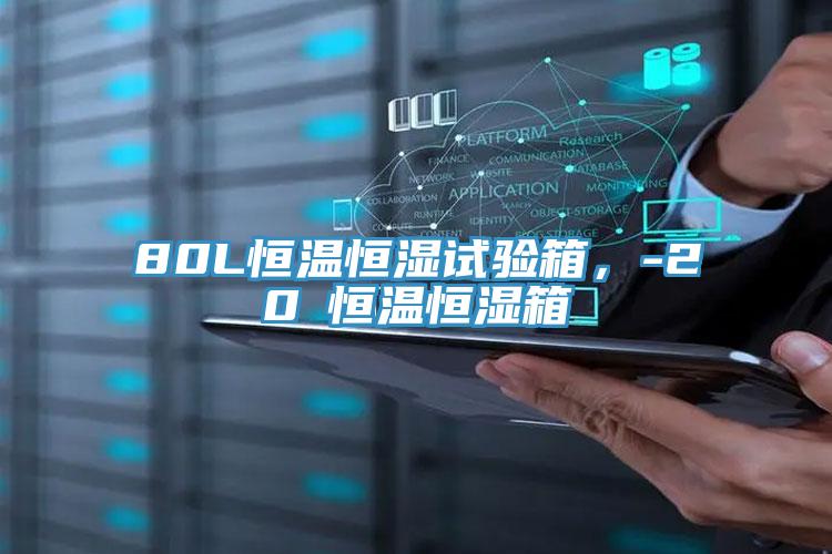 80L恒溫恒濕試驗(yàn)箱，-20℃恒溫恒濕箱