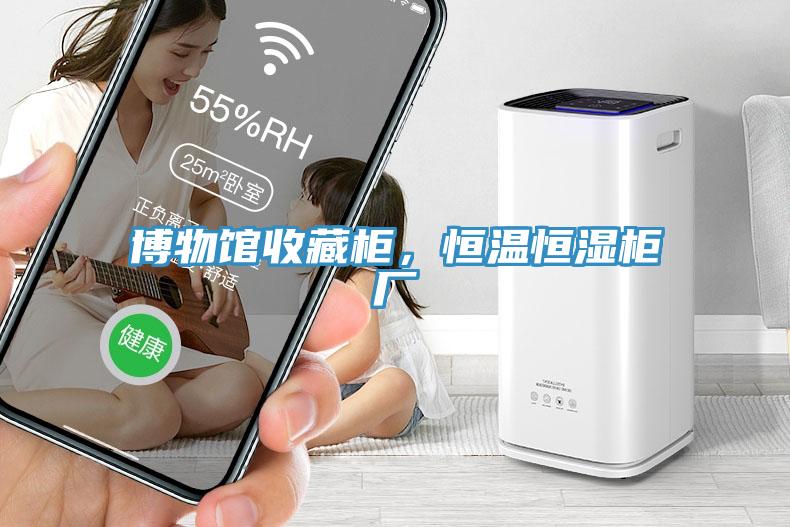 博物館收藏柜，恒溫恒濕柜廠