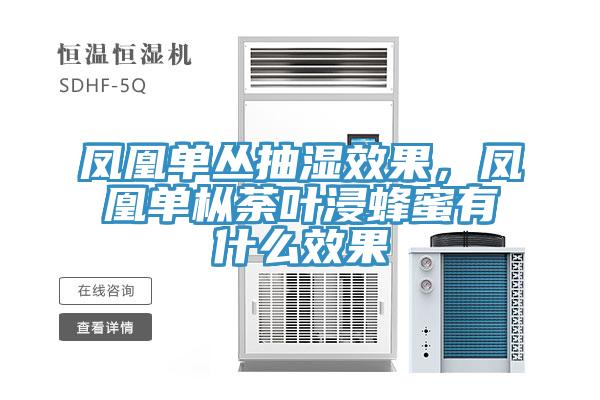 鳳凰單叢抽濕效果，鳳凰單樅荼葉浸蜂蜜有什么效果