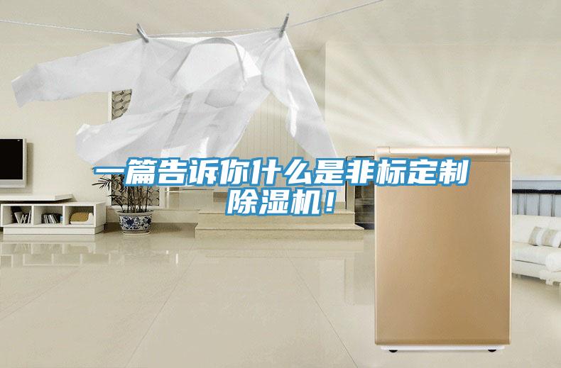 一篇告訴你什么是非標(biāo)定制除濕機(jī)！