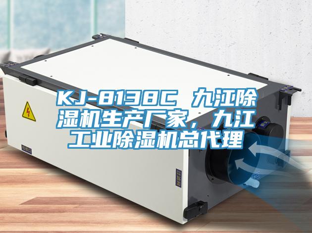 KJ-8138C 九江除濕機生產(chǎn)廠家，九江工業(yè)除濕機總代理