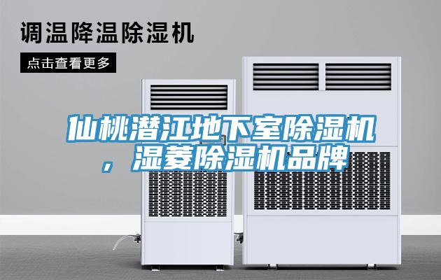 仙桃潛江地下室除濕機(jī)，濕菱除濕機(jī)品牌