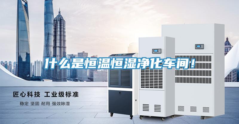 什么是恒溫恒濕凈化車間！