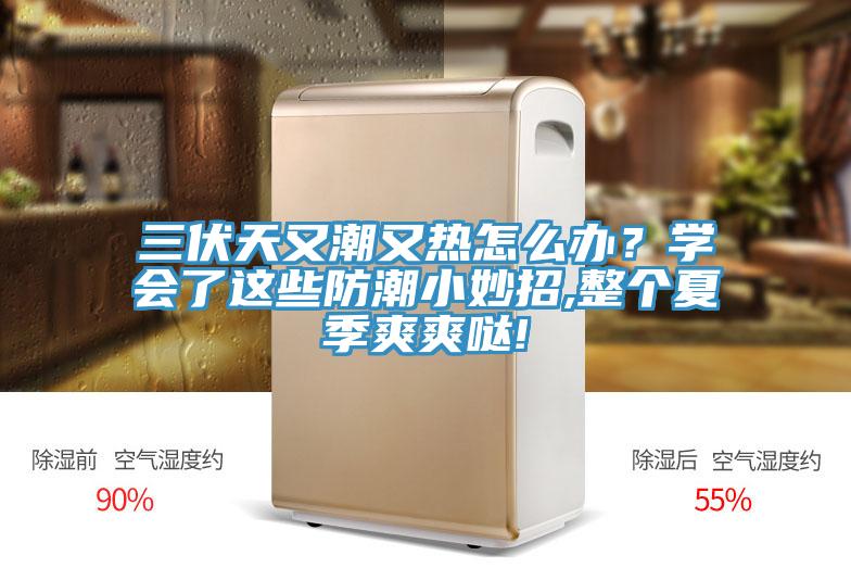 三伏天又潮又熱怎么辦？學會了這些防潮小妙招,整個夏季爽爽噠!