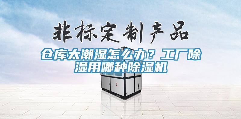 倉(cāng)庫(kù)太潮濕怎么辦？工廠除濕用哪種除濕機(jī)