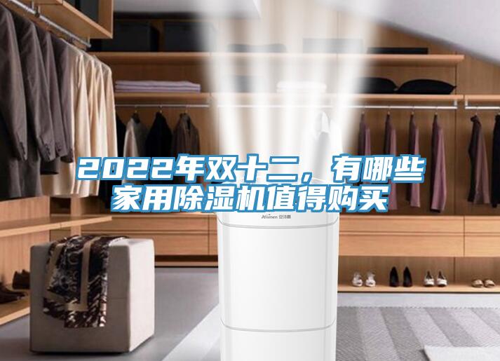 2022年雙十二，有哪些家用除濕機(jī)值得購(gòu)買(mǎi)