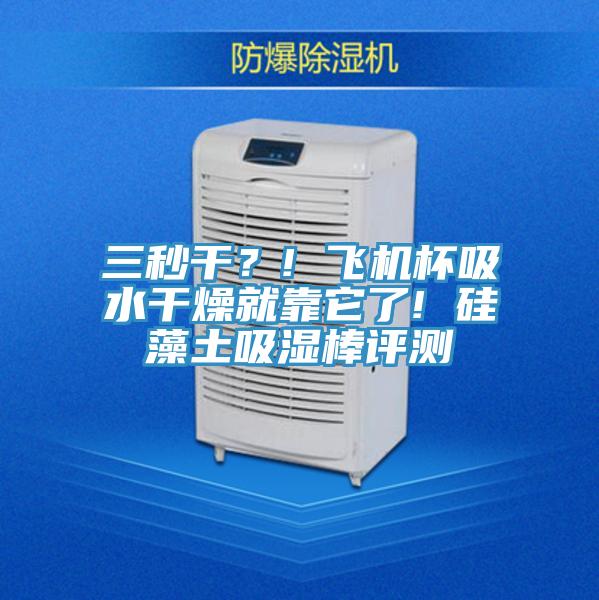 三秒干？! 飛機(jī)杯吸水干燥就靠它了! 硅藻土吸濕棒評(píng)測