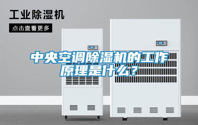 中央空調(diào)除濕機(jī)的工作原理是什么？