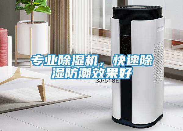 專(zhuān)業(yè)除濕機(jī)，快速除濕防潮效果好