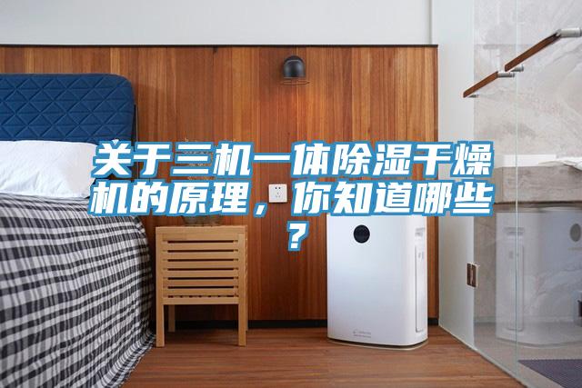 關(guān)于三機一體除濕干燥機的原理，你知道哪些？